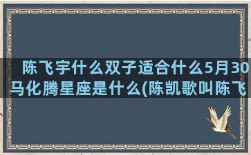 陈飞宇什么双子适合什么5月30马化腾星座是什么(陈凯歌叫陈飞宇什么)